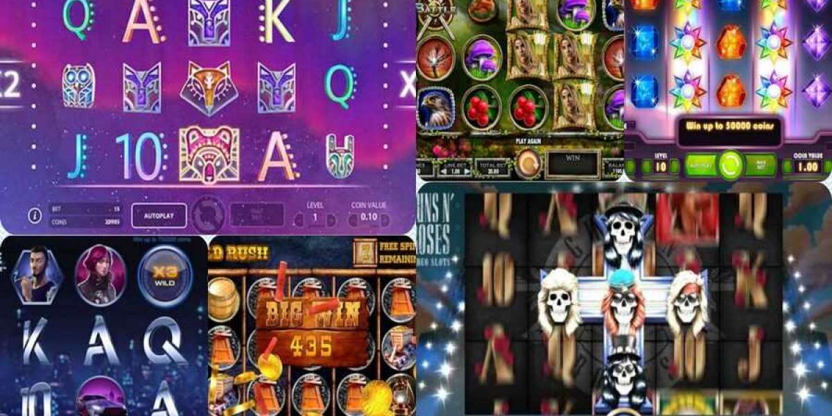 Insider's Guide to the Ultimate Casino Site Experience